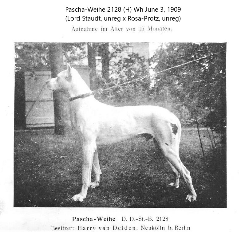 Pascha-Weihe